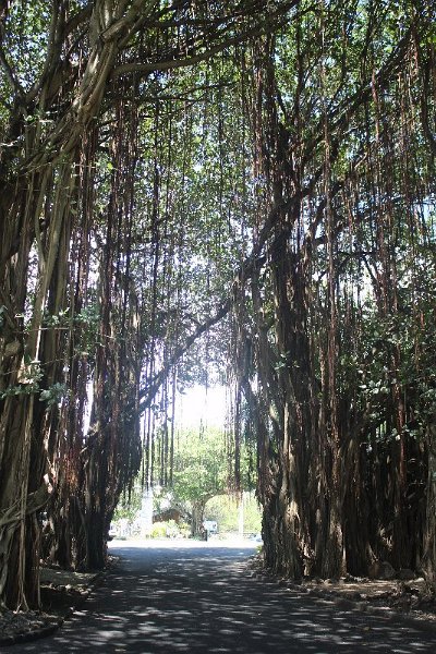 Mauritius 2017 929